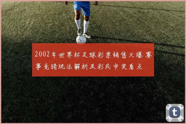 2002年世界杯足球彩票销售火爆 赛事竞猜玩法解析及彩民中奖看点