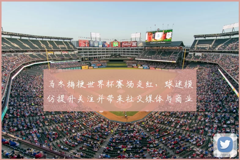 马冬梅梗世界杯赛场走红，球迷模仿提升关注并带来社交媒体与商业效应