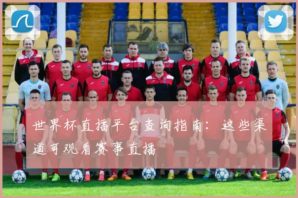 世界杯直播平台查询指南:这些渠道可观看赛事直播