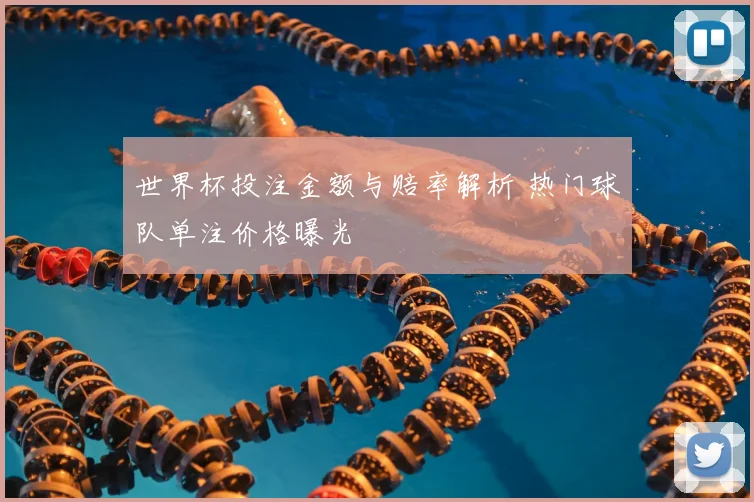 世界杯投注金额与赔率解析 热门球队单注价格曝光