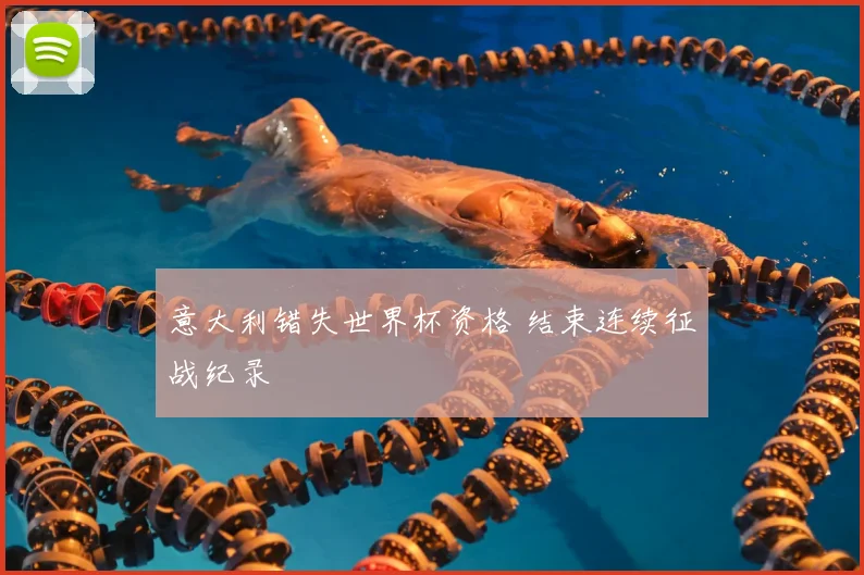意大利错失世界杯资格 结束连续征战纪录
