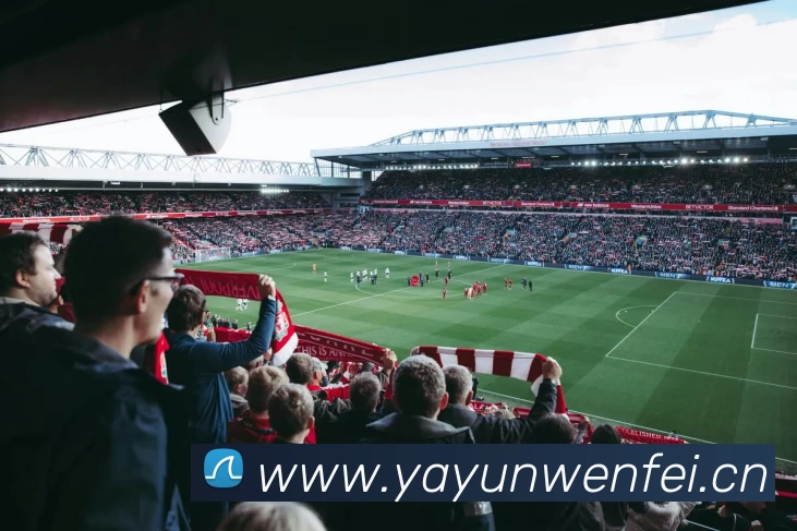 ky体育(中国)官方网站发展历程